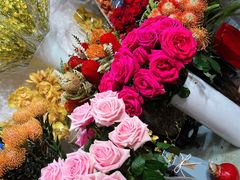 -双季花艺园艺市场(浦东店)