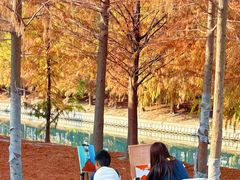 -上海市松江区泗泾医院