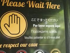 -怀托摩萤火虫洞