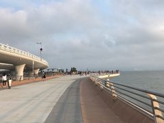 -演武大桥观景平台