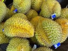 -101 Fresh Fruits Trading