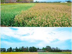 -中国天府农业博览园