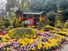 -南山植物园