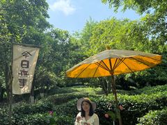 -天目湖山水园