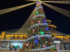 -长白山万达锦华套房酒店