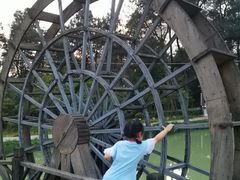 -铁山坪森林公园