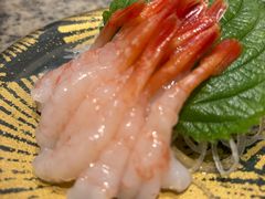 -合点寿司(美罗城店)