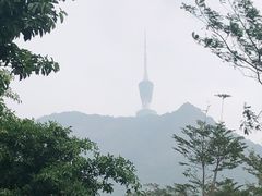 -梧桐山风景名胜区