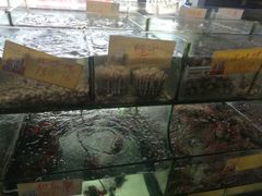 -岛中岛·海鲜大排档·万宁老字号(东澳店)