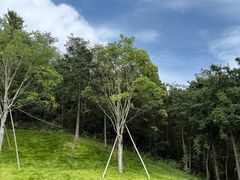 -天姥山景区
