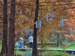 -溱湖国家湿地公园