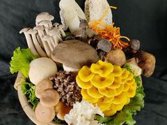 -季季山·云南野生菌火锅(上海首店)