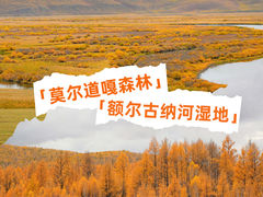 -莫尔道嘎国家森林公园