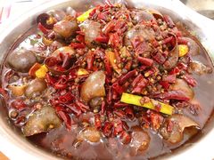 -八0一首创霍老七老螺蛳(万东镇龙景园店)