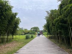 -良渚古城遗址公园