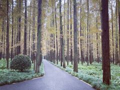 -上海怡沁园度假酒店
