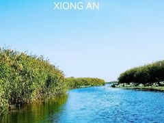 -白洋淀景区