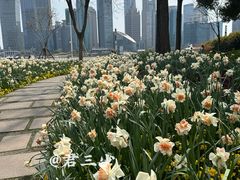 -北外滩滨江绿地