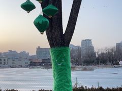 -朝阳公园游乐园