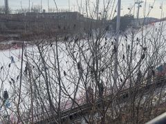 -蓟洲国际滑雪场
