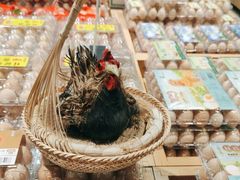 -世纪联华(吴淞店)