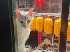 -新月集庭院咖啡馆(老邮局店)