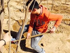 -永定河休闲森林公园