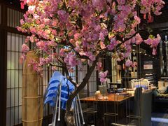 -九井澤精致料理(金茂店)