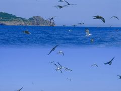 -海驴岛(荣成市)