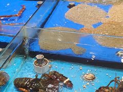 -映像威海·海鲜味道(经区店)