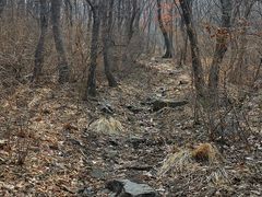 -沈阳辉山风景区