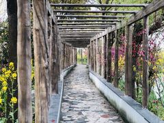 -南汇桃花村