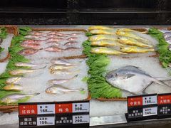 -宝燕壹号(徐汇店)