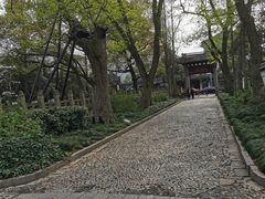-汇龙潭