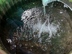-湖南别院·美学庭院餐厅(惠阳店)
