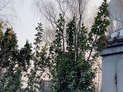 -奥林匹克森林公园南门-停车场