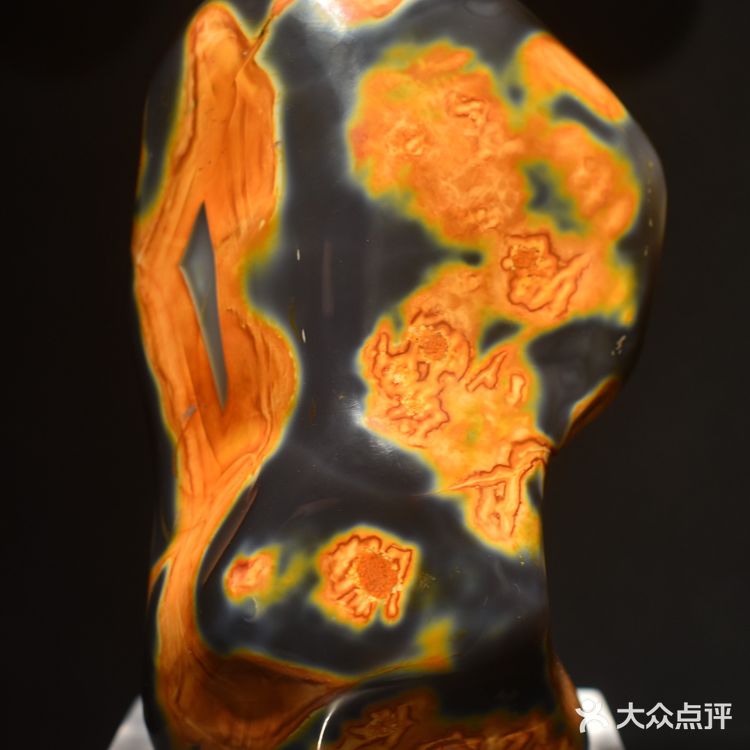 【魔都艺展地图】黄浦江边，“光的时空屋”悄然打开……