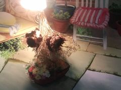 -芭莉与彩虹西餐厅(成都合生汇店)