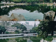-广西大学(大学东路校区)