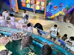 -烟台海昌鲸鲨海洋公园