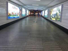 -潍坊站