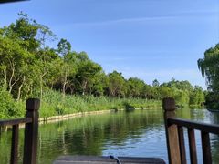 -溱湖国家湿地公园