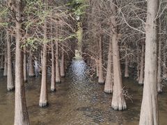 -捞渔河湿地公园