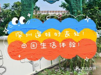 田园生活体验！深圳遛娃圣地！