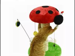 -爱宠屋pet shop·宠物洗澡·宠物美容