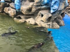 -华夏文旅海洋公园