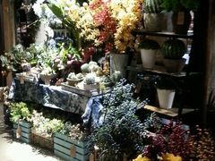 -范设计花园餐酒咖·中西餐·咖啡厅·酒馆