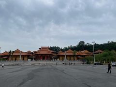-三水森林公园
