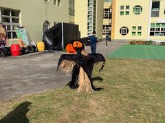 -上海闵行区阶梯吉美幼儿园