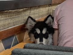 -旅马餐厅(茅家埠店)